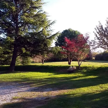 Couette-café Al Campo Di Sotto *