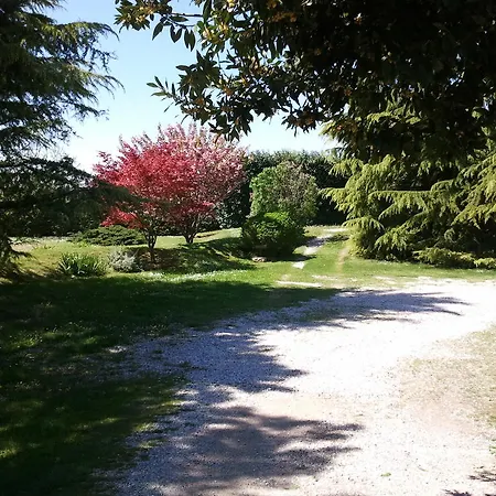 Couette-café Al Campo Di Sotto *